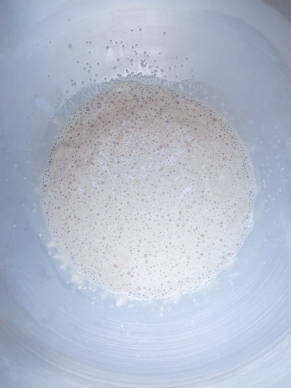 frothy yeast in a bowl