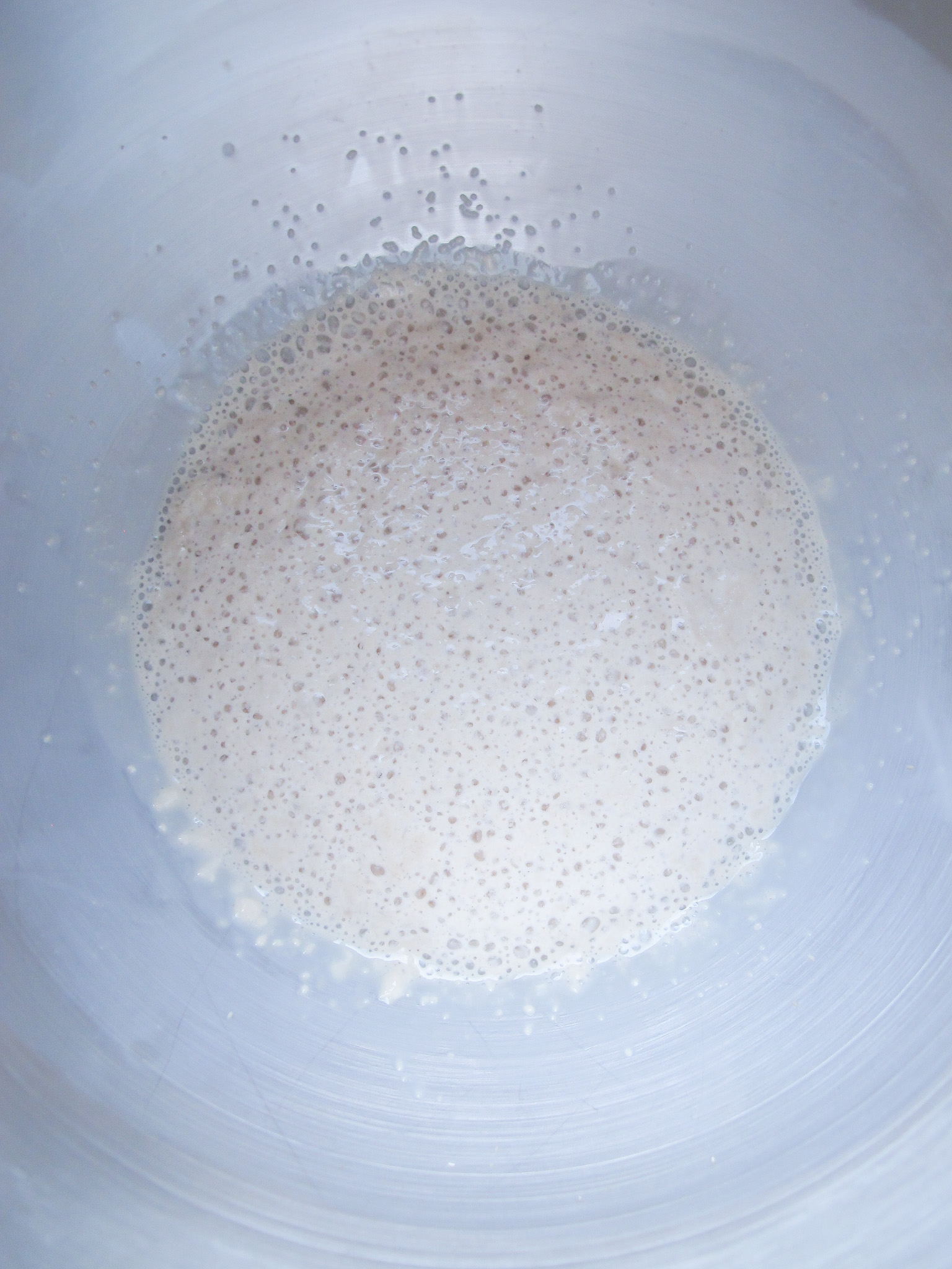 frothy yeast in a mixing bowl.