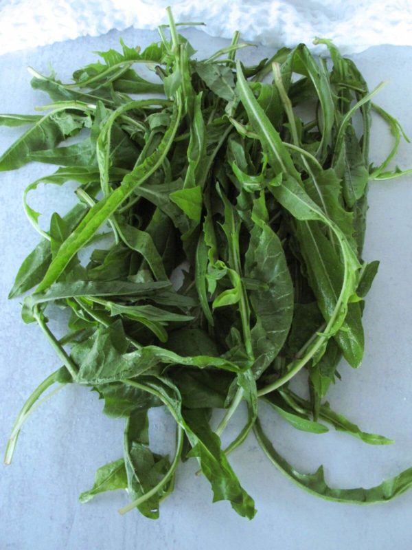 a bunch of raw dandelion leaves.