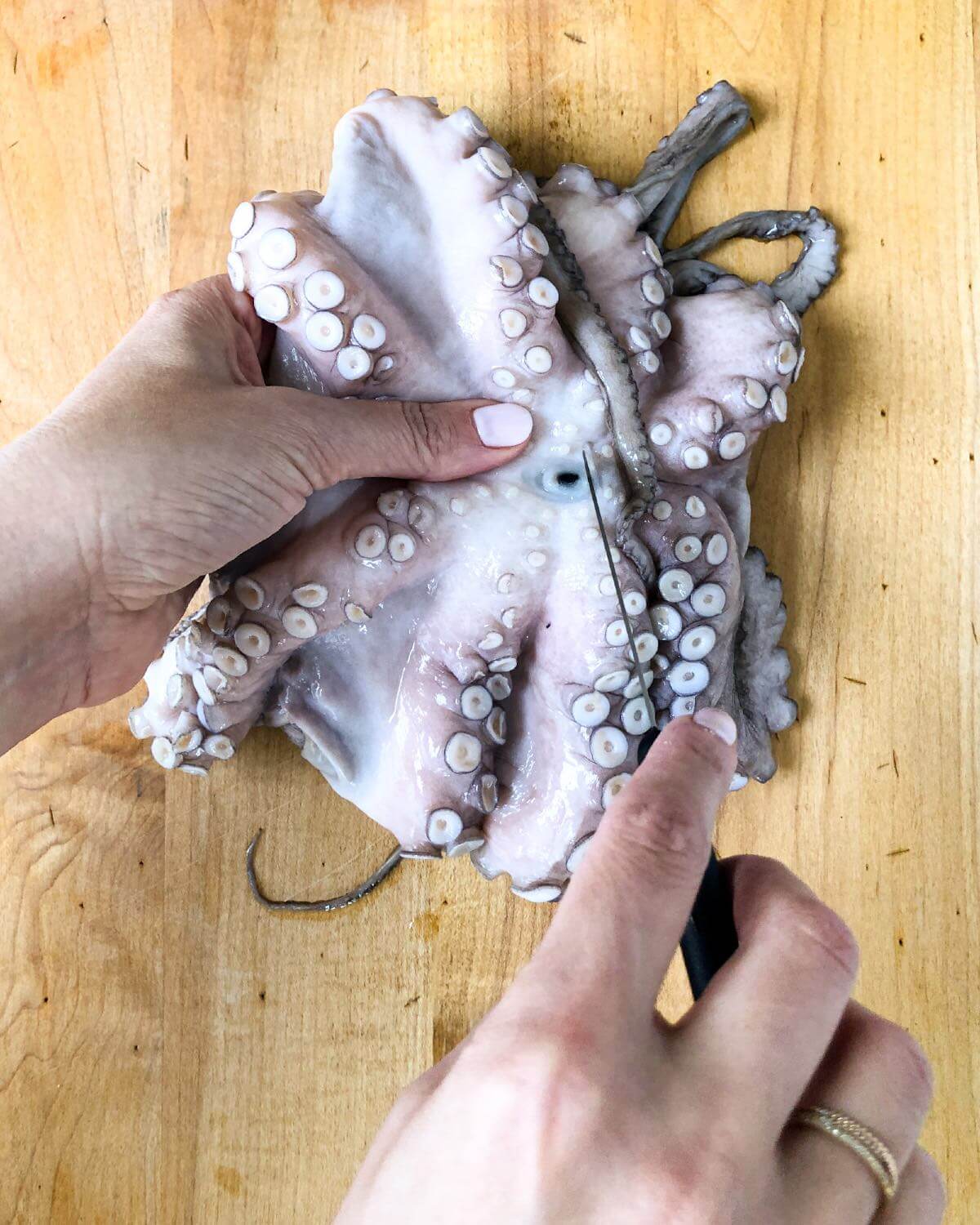 Using a sharp paring knife to cut the black beak (mouth) out of the raw octopus.